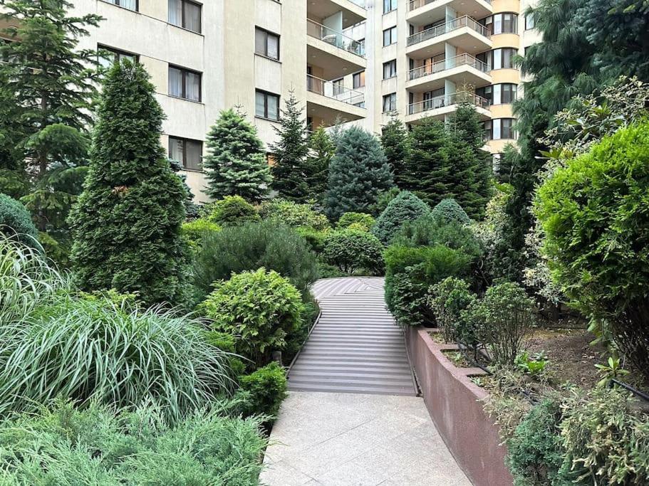 North Area Lake View Studio 布加勒斯特 外观 照片